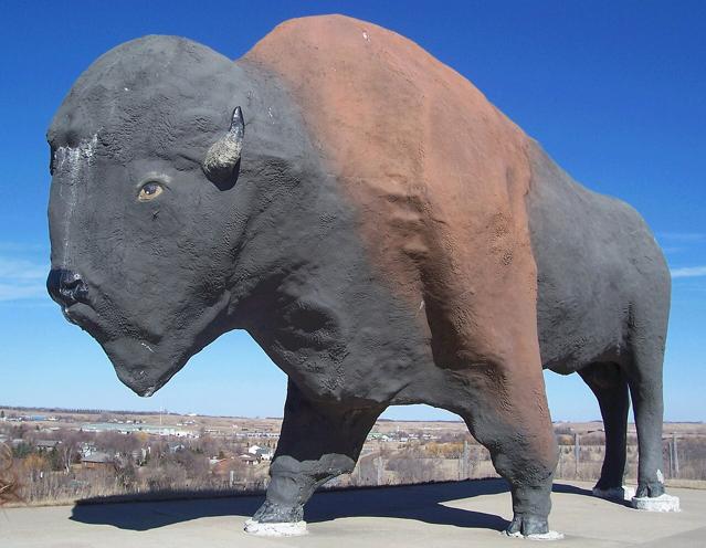 World's Largest Buffalo